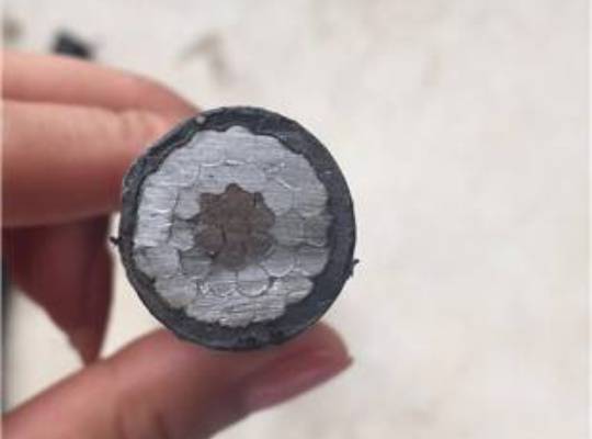 架空電纜切面